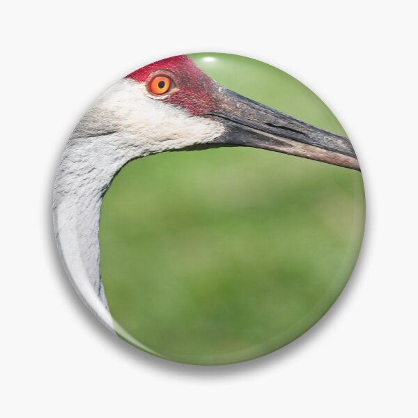 Item preview, Sandhill Crane Portrait 6 designed and sold by StevenRalserPhoto.