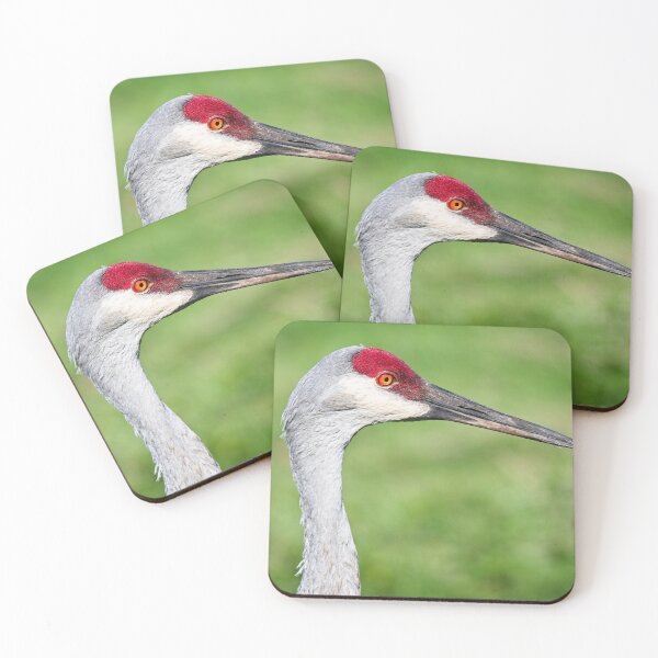 Item preview, Sandhill Crane Portrait 6 designed and sold by StevenRalserPhoto.