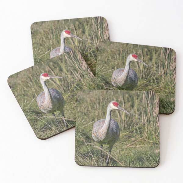 Item preview, Sandhill Crane 9 designed and sold by StevenRalserPhoto.