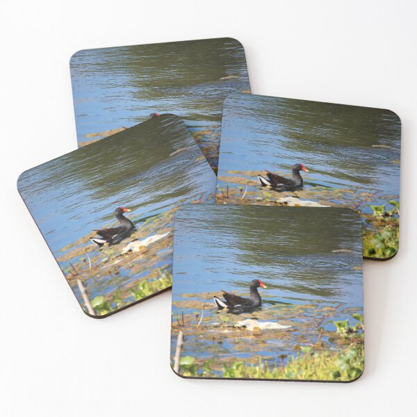 Item preview, Marsh Hen designed and sold by Cynthia48.