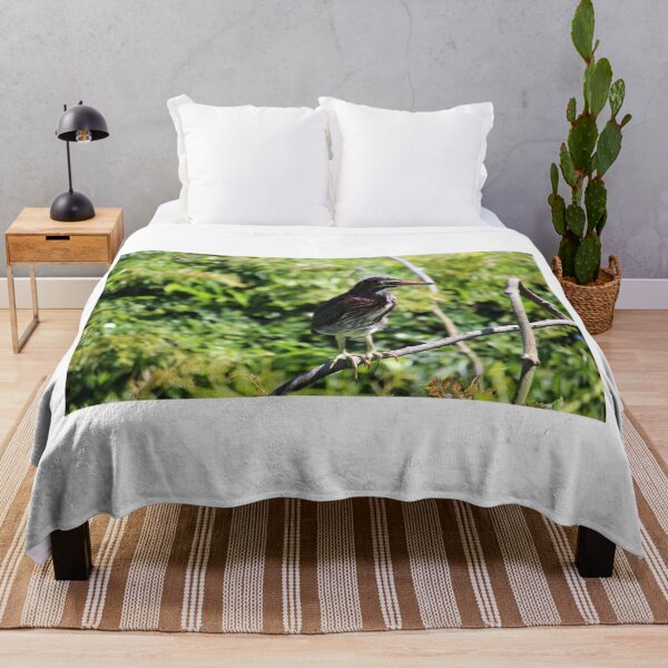 Item preview, Green Heron designed and sold by Cynthia48.