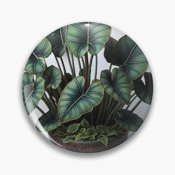 Item preview, Descubra la belleza de las rarezas de la naturaleza. designed and sold by watermelon1997.
