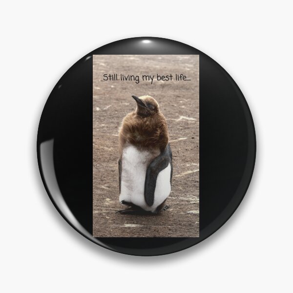 Item preview, King Penguin chick living their best life (black background)  designed and sold by SBPenguins.