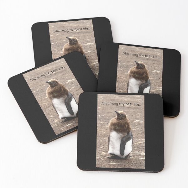 Item preview, King Penguin chick living their best life (black background)  designed and sold by SBPenguins.