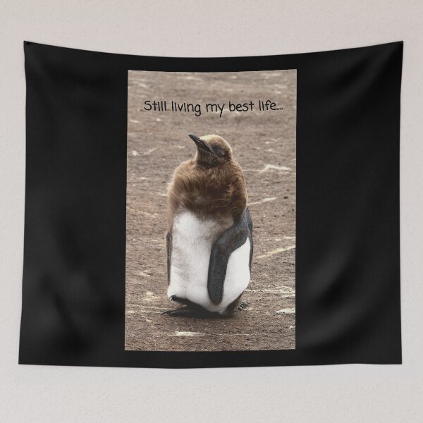 Item preview, King Penguin chick living their best life (black background)  designed and sold by SBPenguins.
