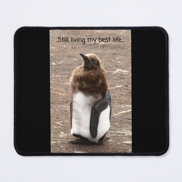 Item preview, King Penguin chick living their best life (black background) designed and sold by SBPenguins.