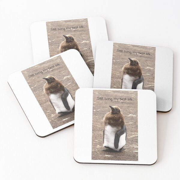Item preview, King Penguin chick living their best life designed and sold by SBPenguins.