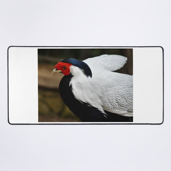 Item preview, Silver Pheasant designed and sold by richardbryce.