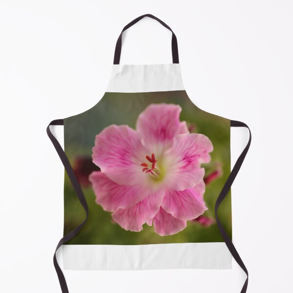 Item preview, Pelargonium .. Spring Debut designed and sold by Michael Matthews.