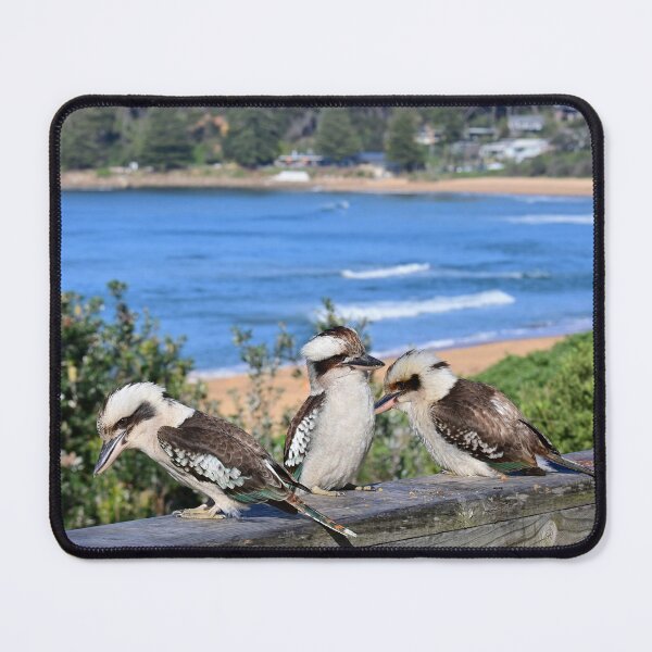 Item preview, Three kookaburra's at the beach designed and sold by Doug Cliff.