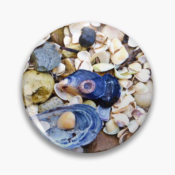 Item preview, Shells designed and sold by FancifulsBySue.
