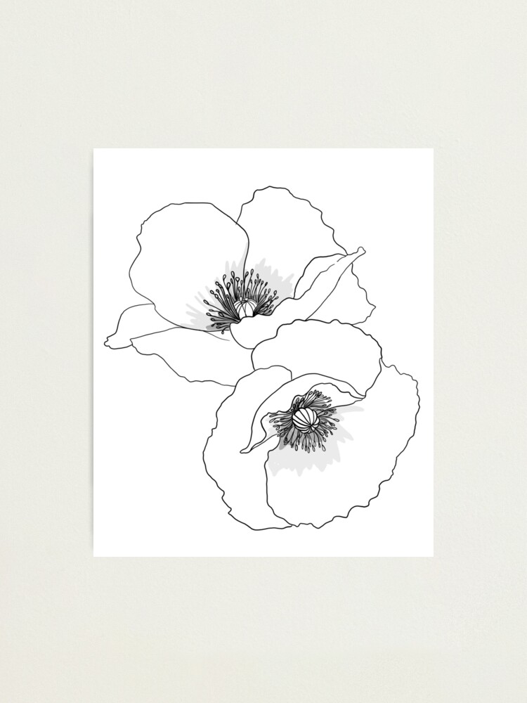 Poppy Flower Tattoo Style Art Photographic Print By Foxandcrow Redbubble