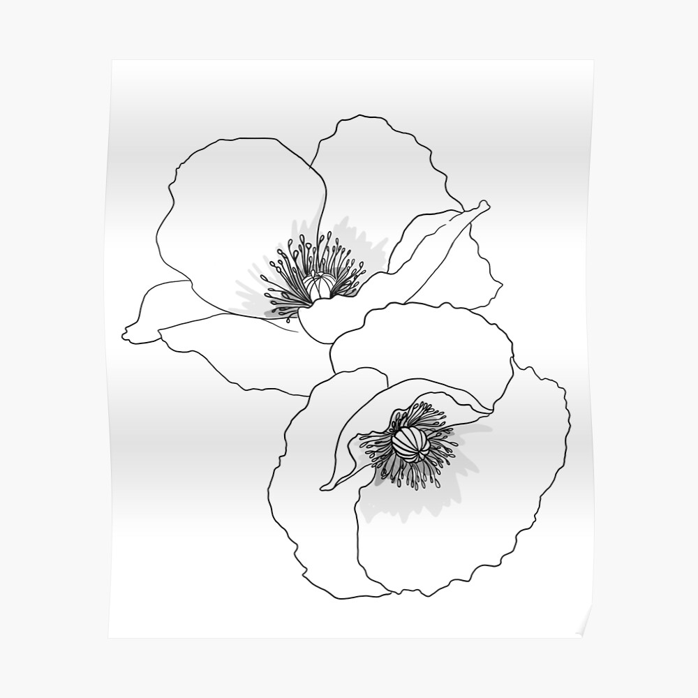 Tentures Art De Style De Tatouage De Fleur De Coquelicot Par Foxandcrow Redbubble