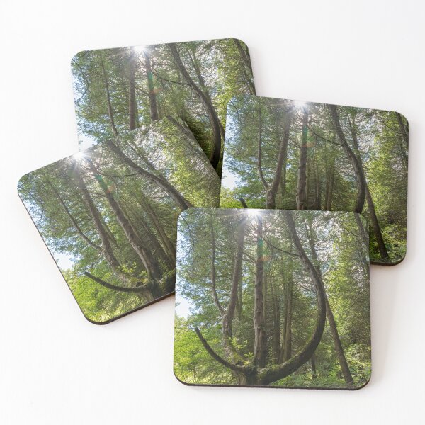 Item preview, Curvy Tree in the Forest, St. Joseph Island designed and sold by jrtwynam.