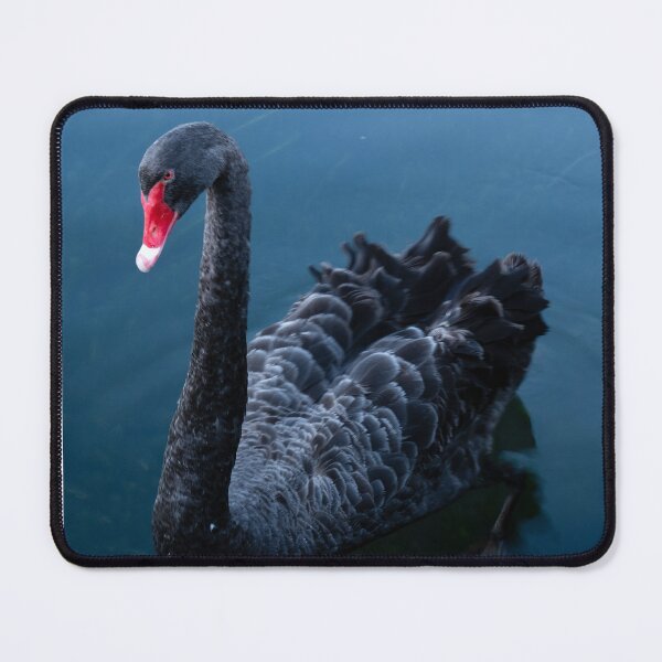 Item preview, Black Swan designed and sold by Annascape Creations.