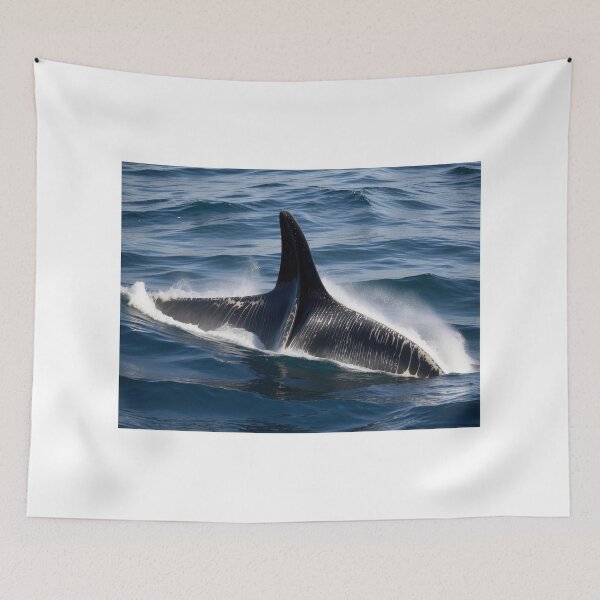 Item preview, historical products designed and sold by Amitabr14.