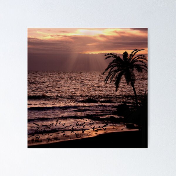 Item preview, Sunset Flight designed and sold by Globalphotos.