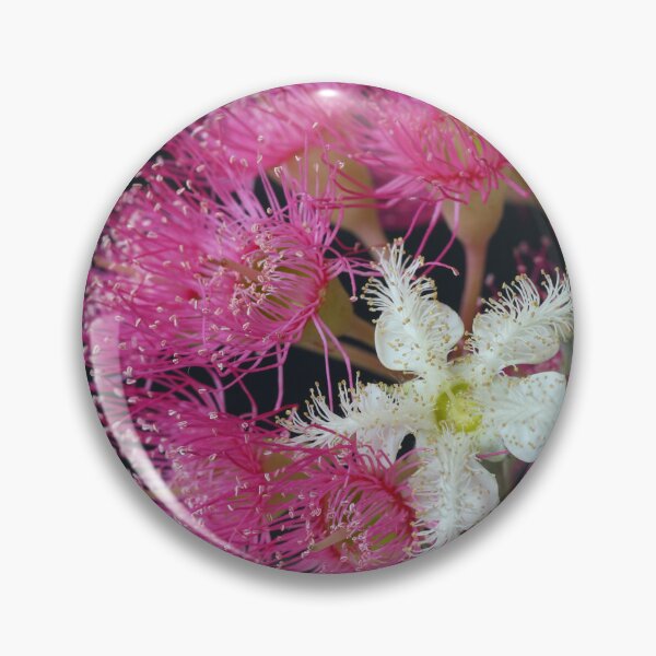 Item preview, Brushbox Framed by Corymbia Ficifolia designed and sold by Michael Matthews.