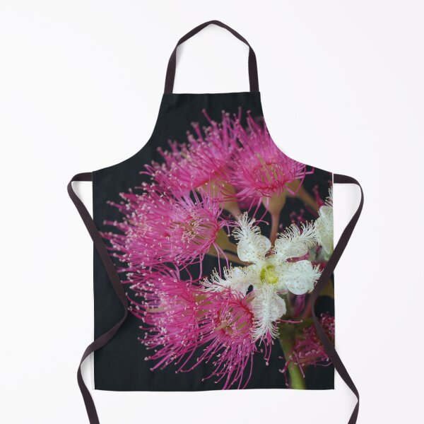 Item preview, Brushbox Framed by Corymbia Ficifolia designed and sold by Michael Matthews.