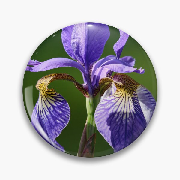 Item preview, Siberian iris like a flag designed and sold by Jouko Lehto Photography.