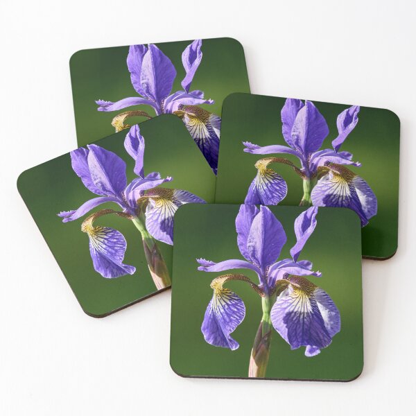 Item preview, Siberian iris like a flag designed and sold by Jouko Lehto Photography.
