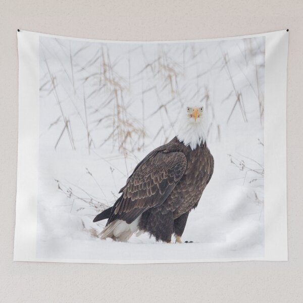 Item preview, Bald Eagle Duluth, Minnesota designed and sold by Amy Louhela.