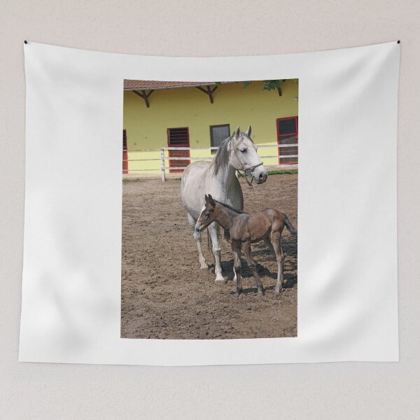 Item preview, Lipizzaner horse and foal on ranch designed and sold by goceris.