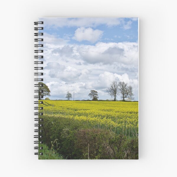 Item preview, Oil seed Rape designed and sold by John (Mike)  Dobson.
