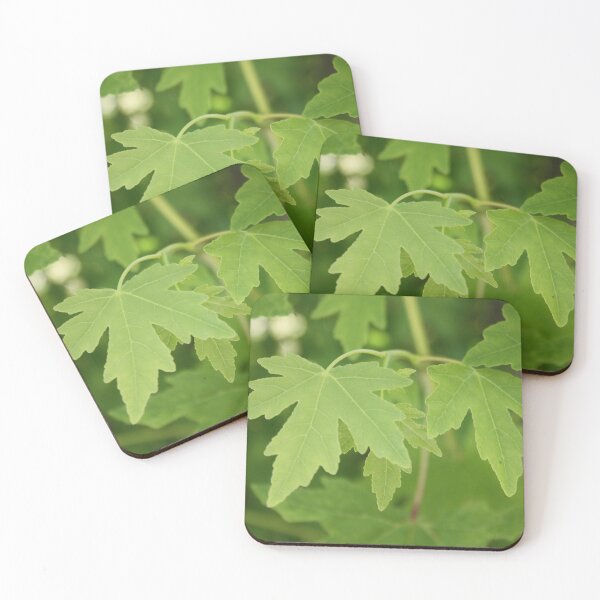 Item preview, Amber Orientalis Leaves designed and sold by taiche.