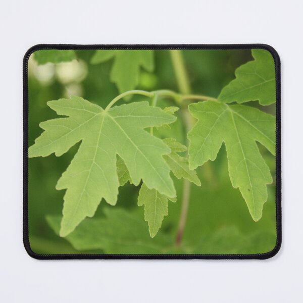 Item preview, Amber Orientalis Leaves designed and sold by taiche.