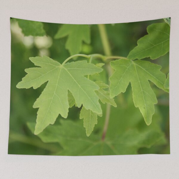 Item preview, Amber Orientalis Leaves designed and sold by taiche.