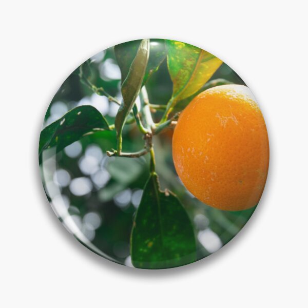 Item preview, Sweet oranges designed and sold by MikaDary.