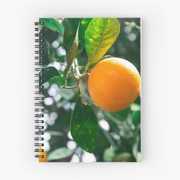 Item preview, Sweet oranges designed and sold by MikaDary.