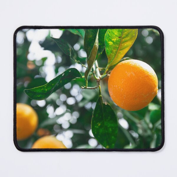 Item preview, Sweet oranges designed and sold by MikaDary.