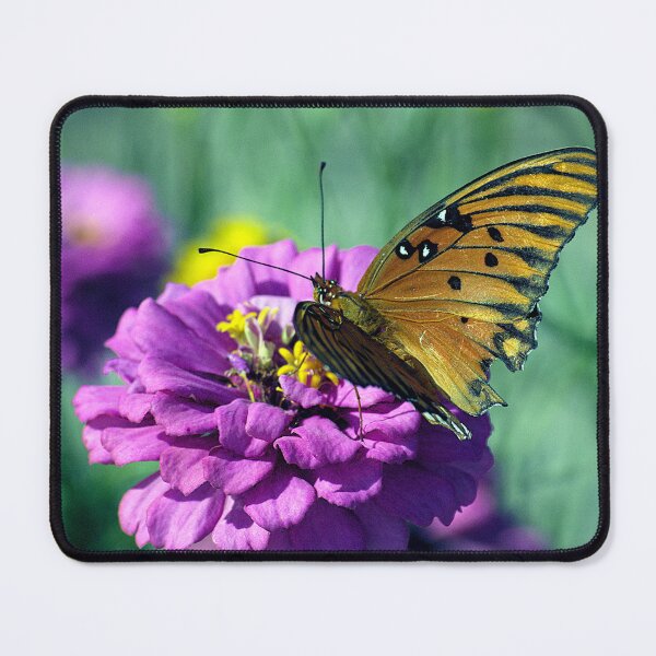 Item preview, Butterfly And Purple Flower designed and sold by MercerImages.