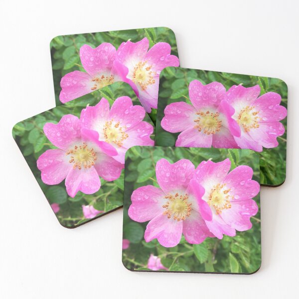 Item preview, Pink wild roses photograph  designed and sold by esvb.