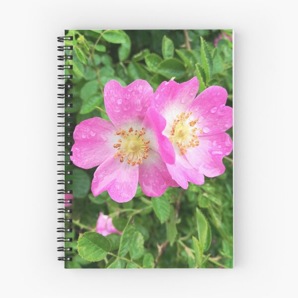 Item preview, Pink wild roses photograph  designed and sold by esvb.