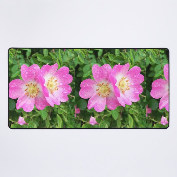 Item preview, Pink wild roses photograph designed and sold by esvb.