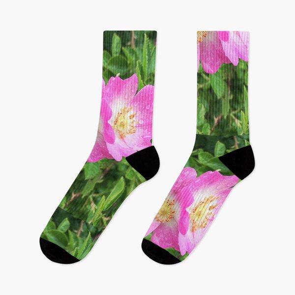 Item preview, Pink wild roses photograph  designed and sold by esvb.