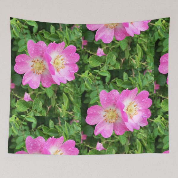 Item preview, Pink wild roses photograph  designed and sold by esvb.