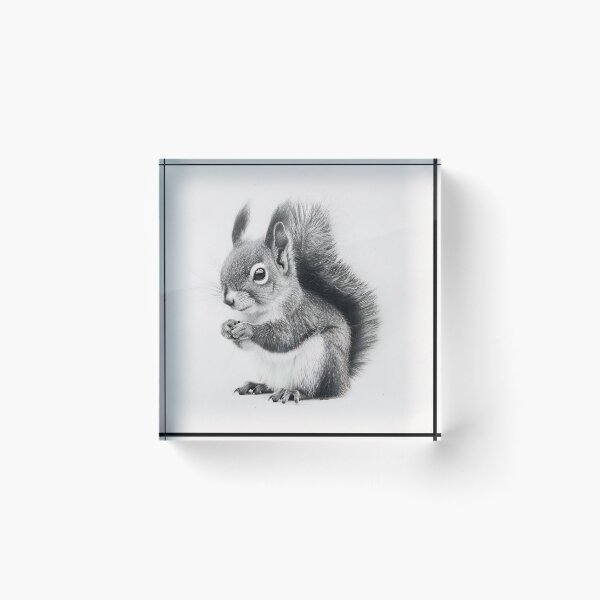Item preview, Black and white Squirrel pencil drawing designed and sold by Pencil-Art.