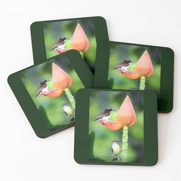 Item preview, Purple-rumped sunbirds designed and sold by ritusdesigns.