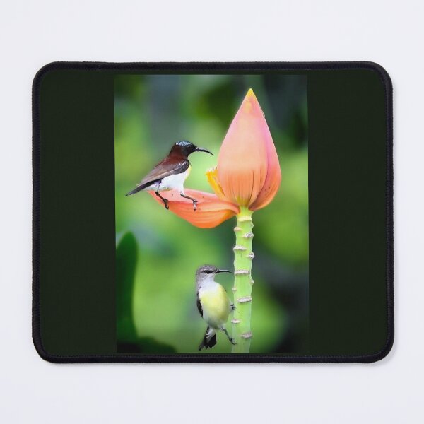 Item preview, Purple-rumped sunbirds designed and sold by ritusdesigns.