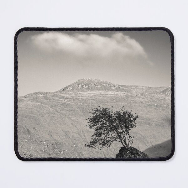 Item preview, Glen Shiel Tree designed and sold by David Bowman.