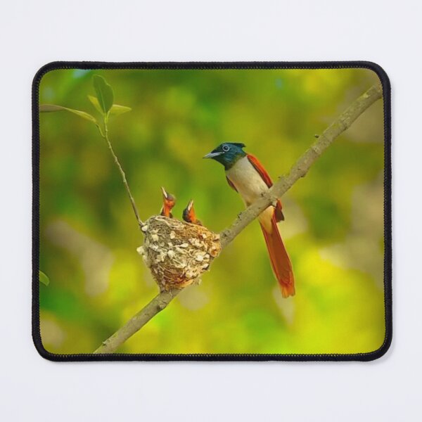 Item preview, purple rumped sunbird - female  designed and sold by ritusdesigns.