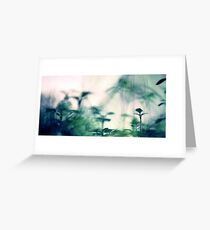 Frost Greeting Card