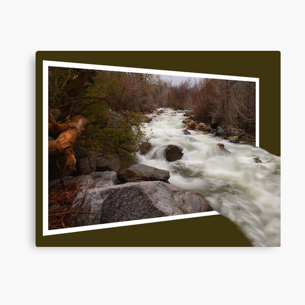Out Of The River Canvas Print