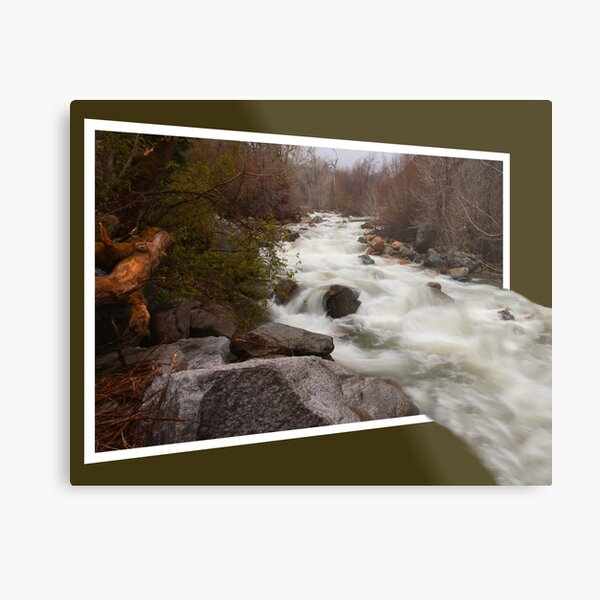 Out Of The River Metal Print