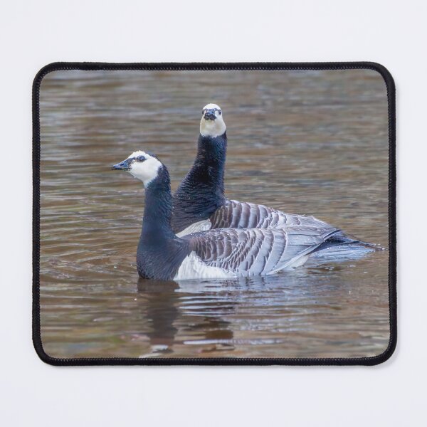 Item preview, Black and White Geese designed and sold by SafariByMarisa.