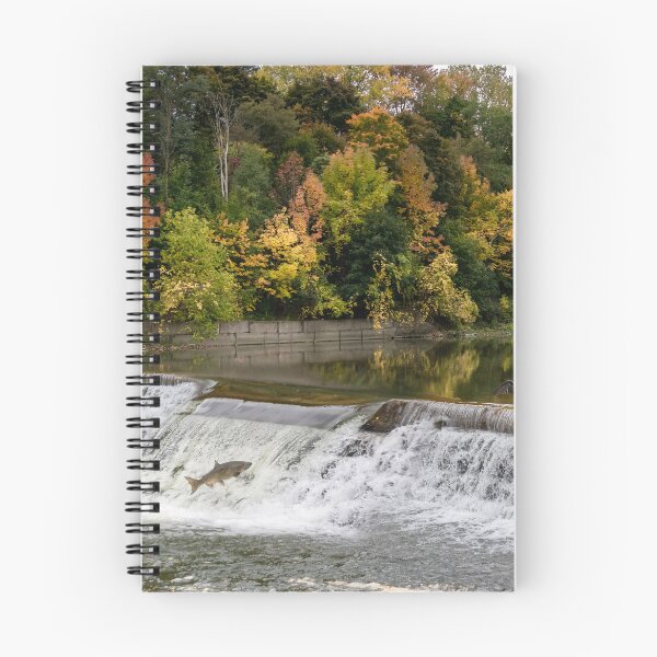 Item preview, Autumn Life at the River designed and sold by jrtwynam.